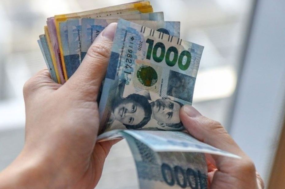 Remittances: A Developmental Lifeline
